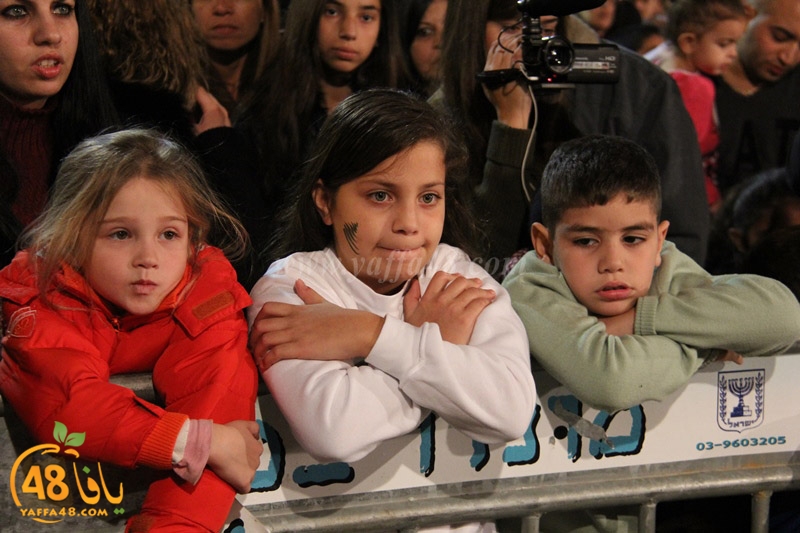 tree xrismass (26).JPG